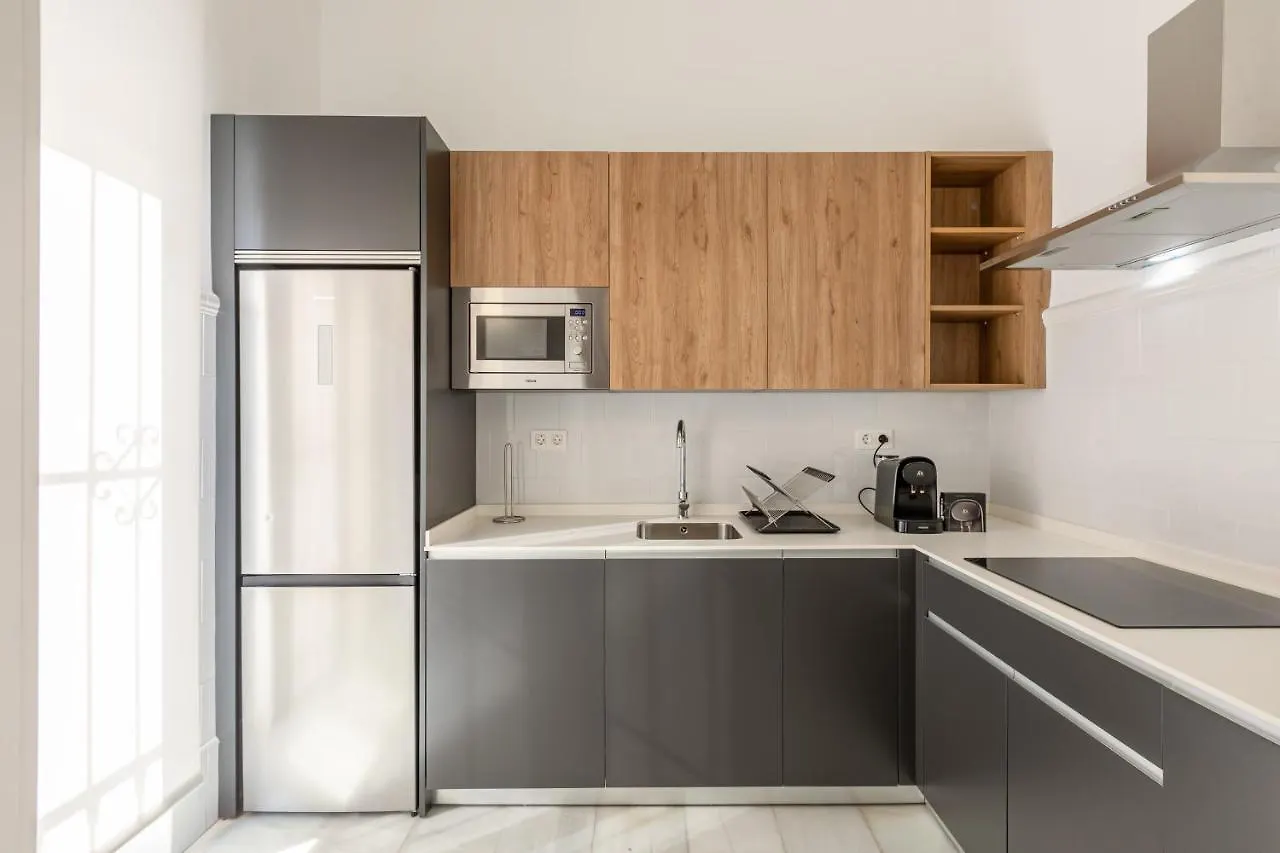 San Lorenzo Collection Homes - Space Maison Apartments Севилья